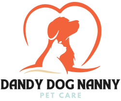 Danday Dog Nanny, Pet Care, St. Petersburg, Miama, Florida